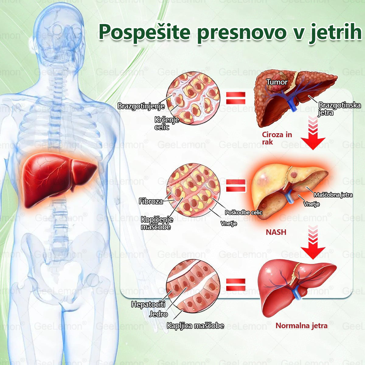 🎁 🎁Na voljo je ostalo le še 5 škatel! Zdaj vam ponujamo dodatnih 50 % popusta! Bodite fit in zdravi. Če te priložnosti ne izkoristite zdaj, bo naslednja možnost šele prihodnje leto!